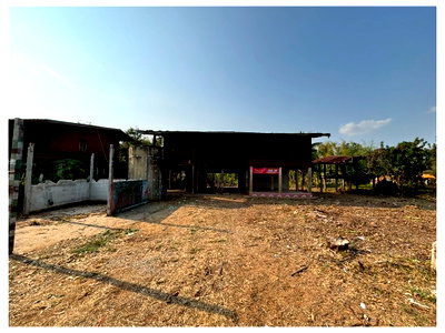 Houses for sale Selaphum Roi Et : HOME 250 Sq.w. Selaphum Roi Et for 353,000