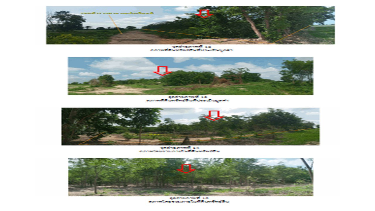 รูป ที่ดินพร้อมสิ่งปลูกสร้าง 8822 ตร.วา บางระกำ พิษณุโลก 9M - รูปที่ 5/10