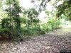 listing thumbnail image 23