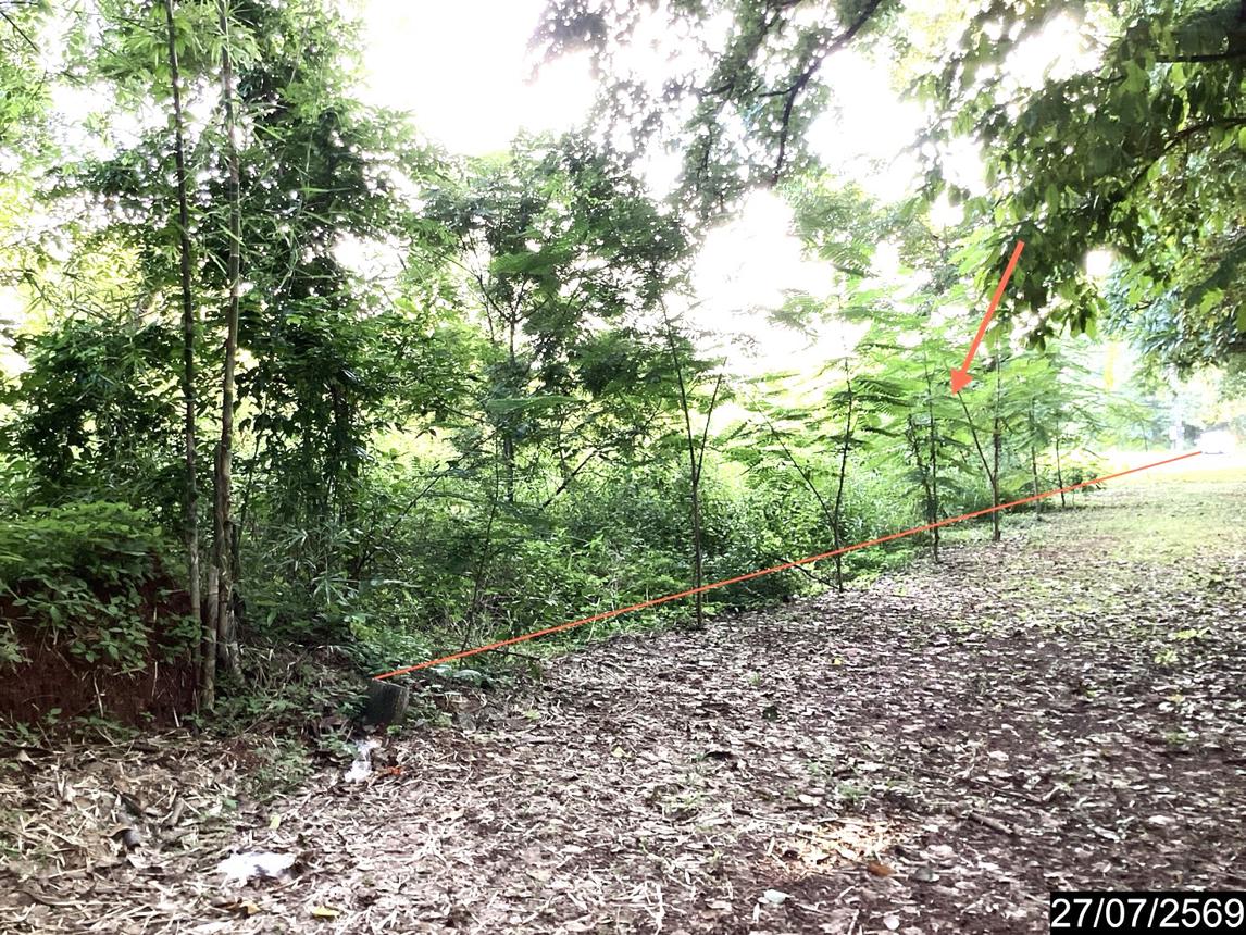 รูป บ้านเดี่ยว 1023 ตร.วา ท่าบ่อ หนองคาย 3.3M - รูปที่ 24/29