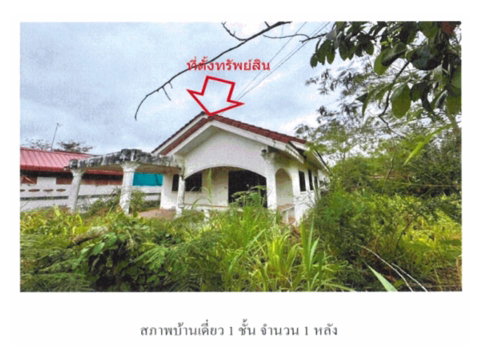 LAND 78 Sq.w. Sawang Daen Din Sakon Nakhon for 825,000