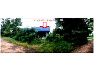 Houses for sale Nongkai : HOME 787 Sq.w. Tha Bo Nongkai for 1.6M