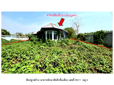 บ้านเดี่ยว เพชรบูรณ์ : ที่ดินพร้อมสิ่งปลูกสร้าง 295 ตร.วา หนองไผ่ เพชรบูรณ์ 1.8M