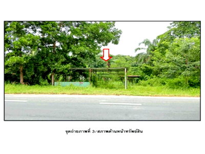 Land for sale Tha Chang Surat Thani : LAND 200 Sq.w. Tha Chang Surat Thani for 2.4M