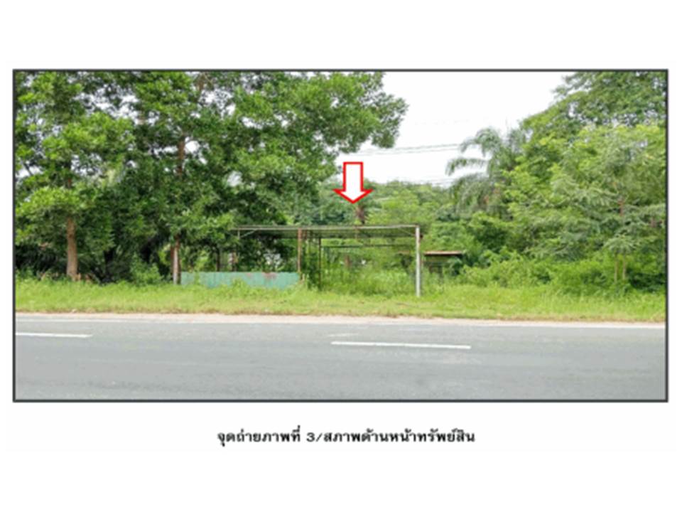 picture LAND 200 Sq.w. Tha Chang Surat Thani for 2.4M - 1/3