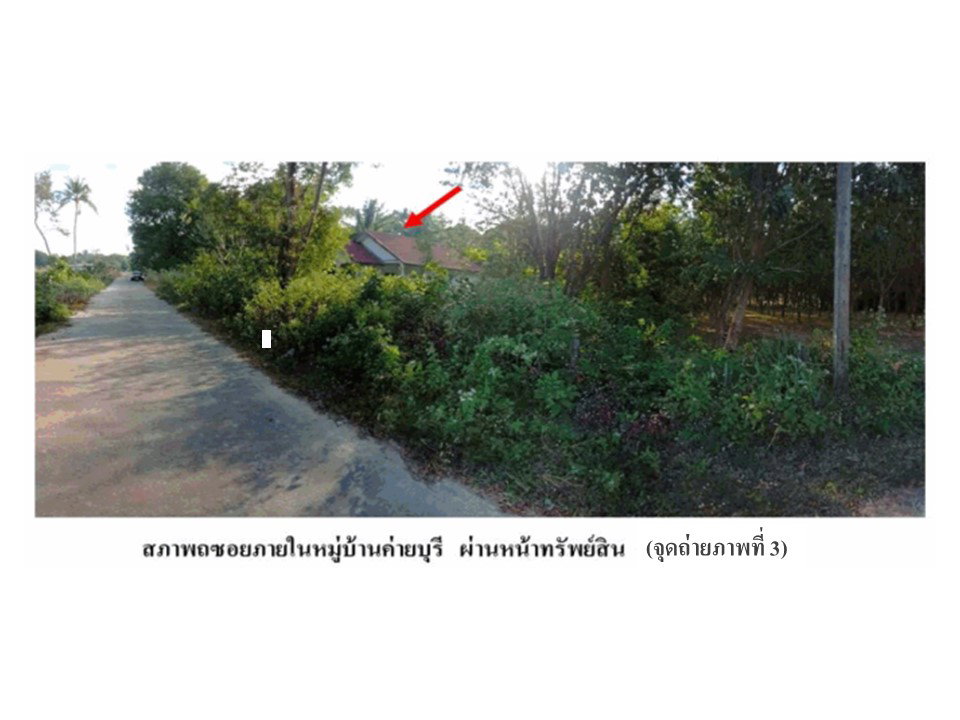 picture LAND 1020 Sq.w. Huai Phung Kalasin for 1.3M - 4/7