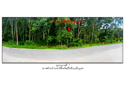 ที่ดิน ป่าพะยอม พัทลุง : ที่ดิน 305.5 ตร.วา ป่าพะยอม พัทลุง 552,000