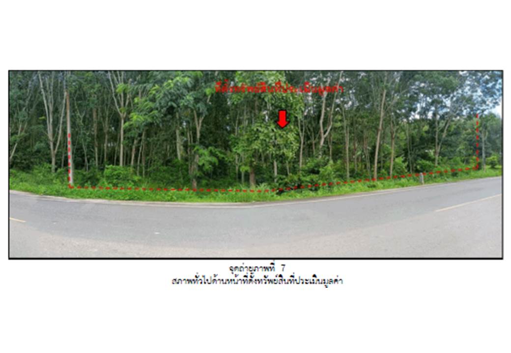 รูป ที่ดิน 305.5 ตร.วา ป่าพะยอม พัทลุง 552,000 - รูปที่ 1/4