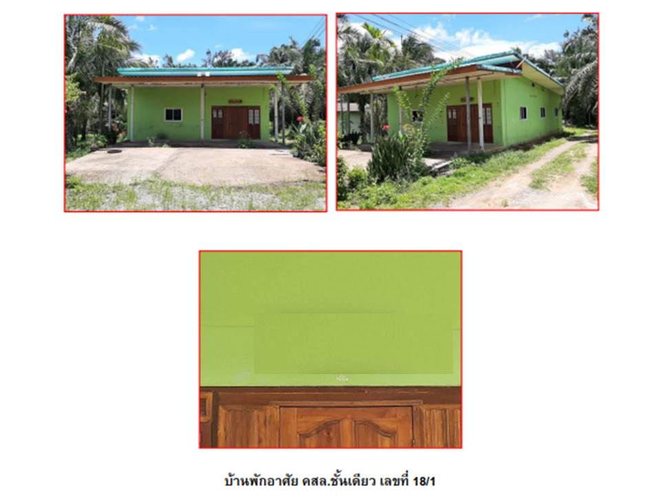 picture LAND 100 Sq.w. Tha Sae Chumphon for 1.1M - 4/4