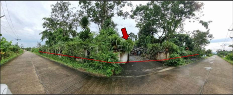 picture LAND 297.6 Sq.w. Pa Bon Phatthalung for 2.1M - 4/6