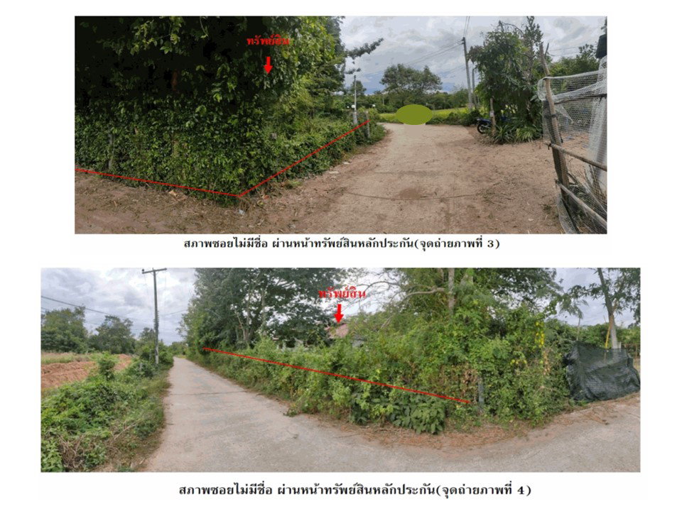 picture LAND 1040 Sq.w. Yang Talat Kalasin for 1.4M - 3/8