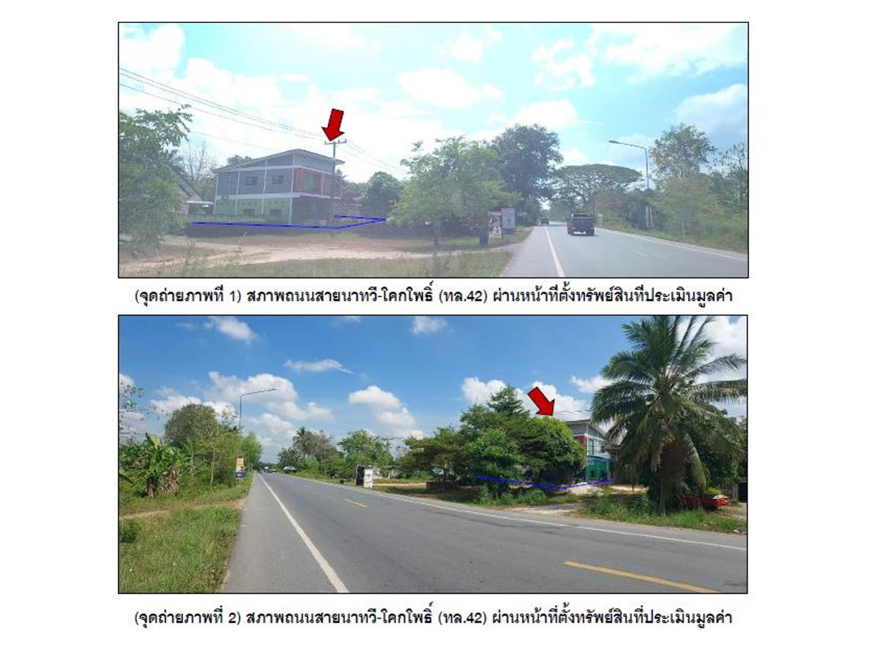 picture LAND 47 Sq.w. Thepha Songkhla for 1.8M - 3/4