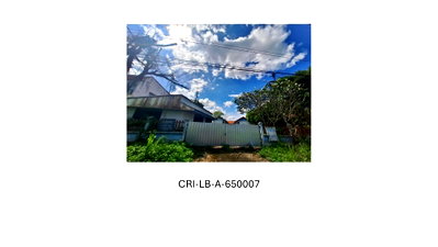 LAND 400 Sq.w. Phan Chiang Rai for 5.8M
