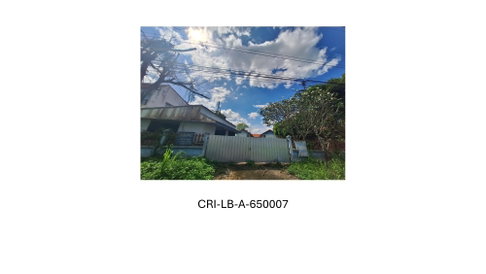 ที่ดินพร้อมสิ่งปลูกสร้าง 400 ตร.วา พาน เชียงราย 5.8M