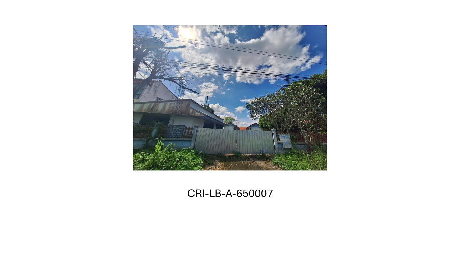 รูป ที่ดินพร้อมสิ่งปลูกสร้าง 400 ตร.วา พาน เชียงราย 5.8M - รูปที่ 1/6