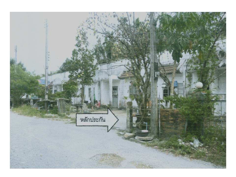 รูป ที่ดินพร้อมสิ่งปลูกสร้าง 19 ตร.วา ร่อนพิบูลย์ นครศรีธรรมราช 198,000 - รูปที่ 4/5