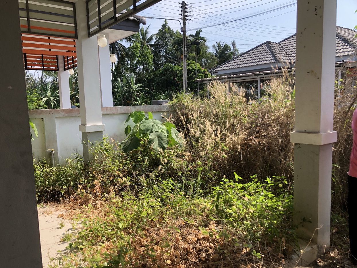 รูป ที่ดินพร้อมสิ่งปลูกสร้าง 26.9 ตร.วา ราสินี เมืองสุราษฎร์ธานี สุราษฎร์ธานี 1.7M - รูปที่ 4/6