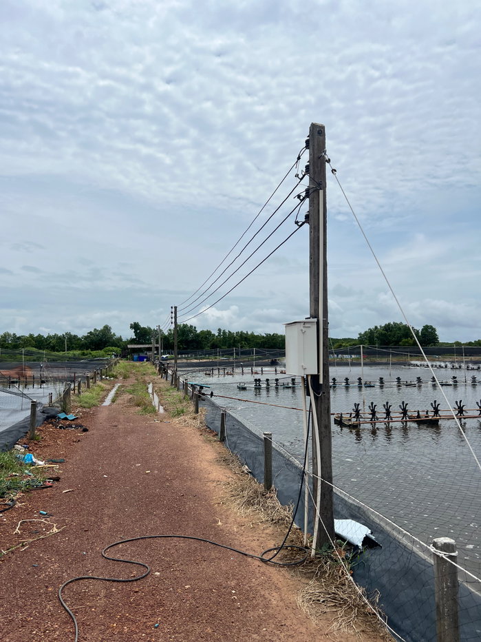 รูป ย่อเลี่ยงกุ้งพร้อมระบบไฟฟ้า 100% พร้อมบ้านพักและบ้านพักคนงาน ทั้งหมด 6 5 บ่อ 1 บ่อ พัก - รูปที่ 10/13