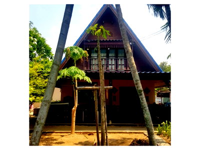 LAND 229 Sq.w. Phu Thai Song Buri Ram for 1.2M