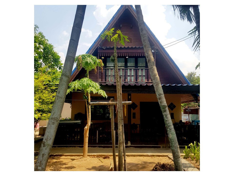 picture LAND 229 Sq.w. Phu Thai Song Buri Ram for 1.2M - 1/5