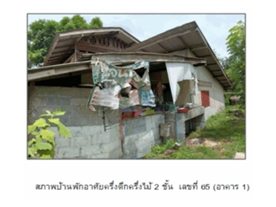 picture LAND 172.1 Sq.w. Muang Phatthalung Phatthalung for 1.5M - 4/4