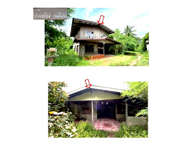 Houses for sale Kong Chai Kalasin : HOME 537 Sq.w. Kong Chai Kalasin for 749,000