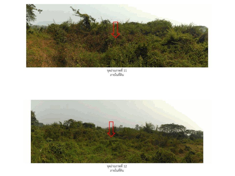 รูป ที่ดิน 1364 ตร.วา เถิน ลำปาง 800,000 - รูปที่ 6/7