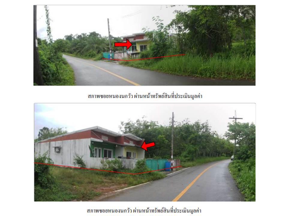 picture LAND 48.5 Sq.w. Palian Trang for 1.1M - 3/5