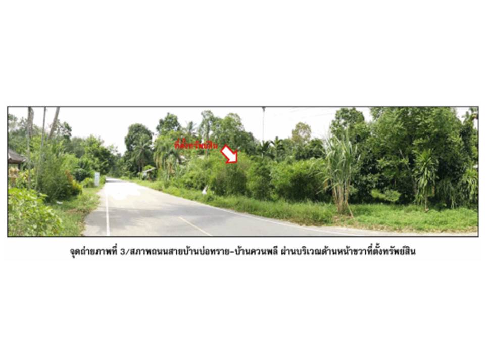 รูป ที่ดิน 277.3 ตร.วา ป่าพะยอม พัทลุง 469,000 - รูปที่ 4/4