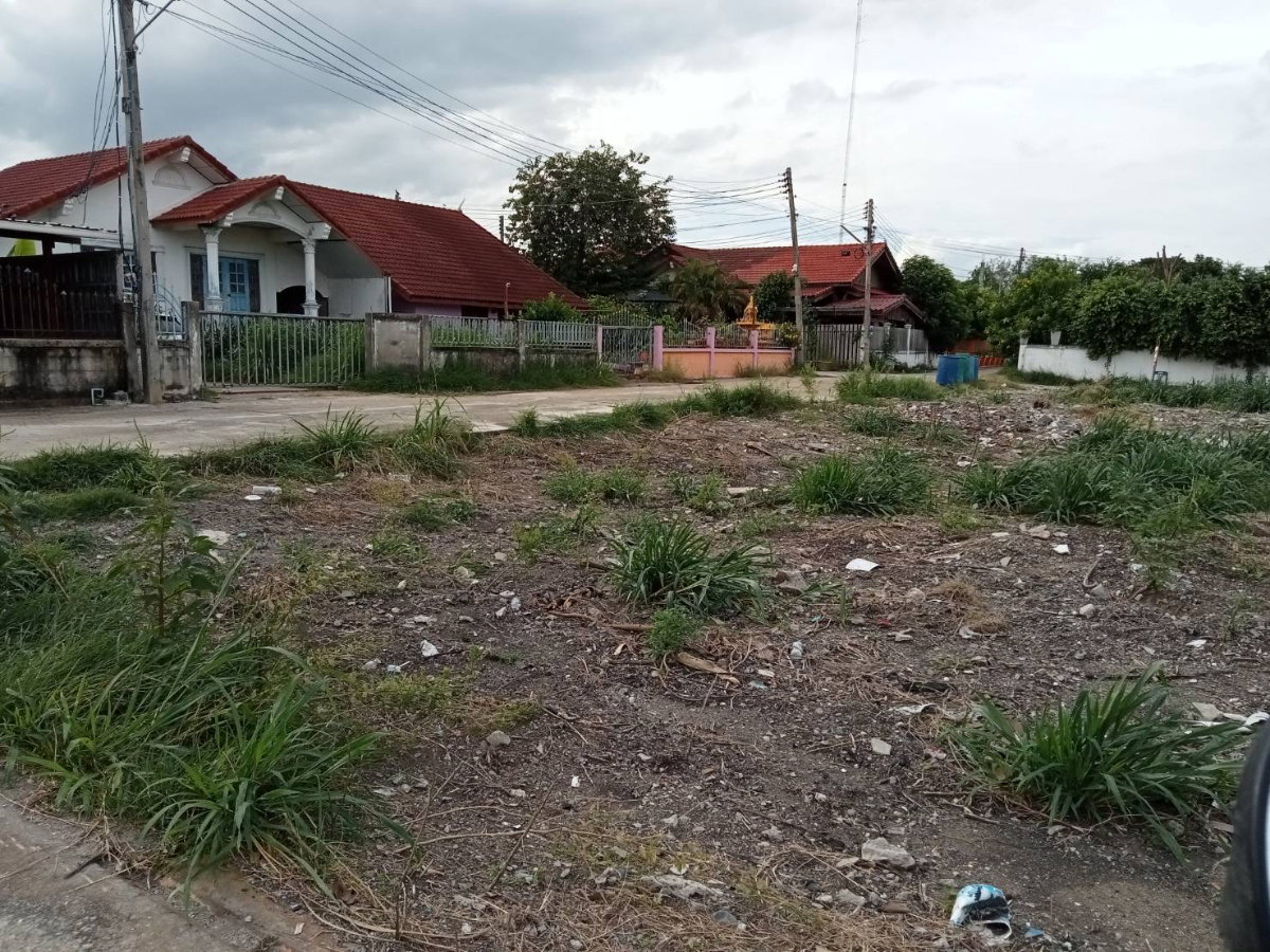 รูป ขายที่ดิน 200 ตรว ถมแล้ว พร้อมสร้างบ้าน บ้านหมอ สระบุรี ด่วน - รูปที่ 3/3