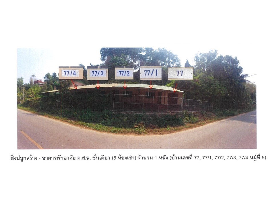รูป ที่ดินพร้อมสิ่งปลูกสร้าง 87 ตร.วา ปัว น่าน 1.9M - รูปที่ 1/3
