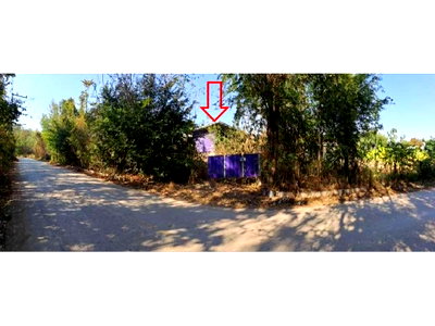 LAND 868 Sq.w. Na Klang Nong Bua Lam Phu for 1.9M