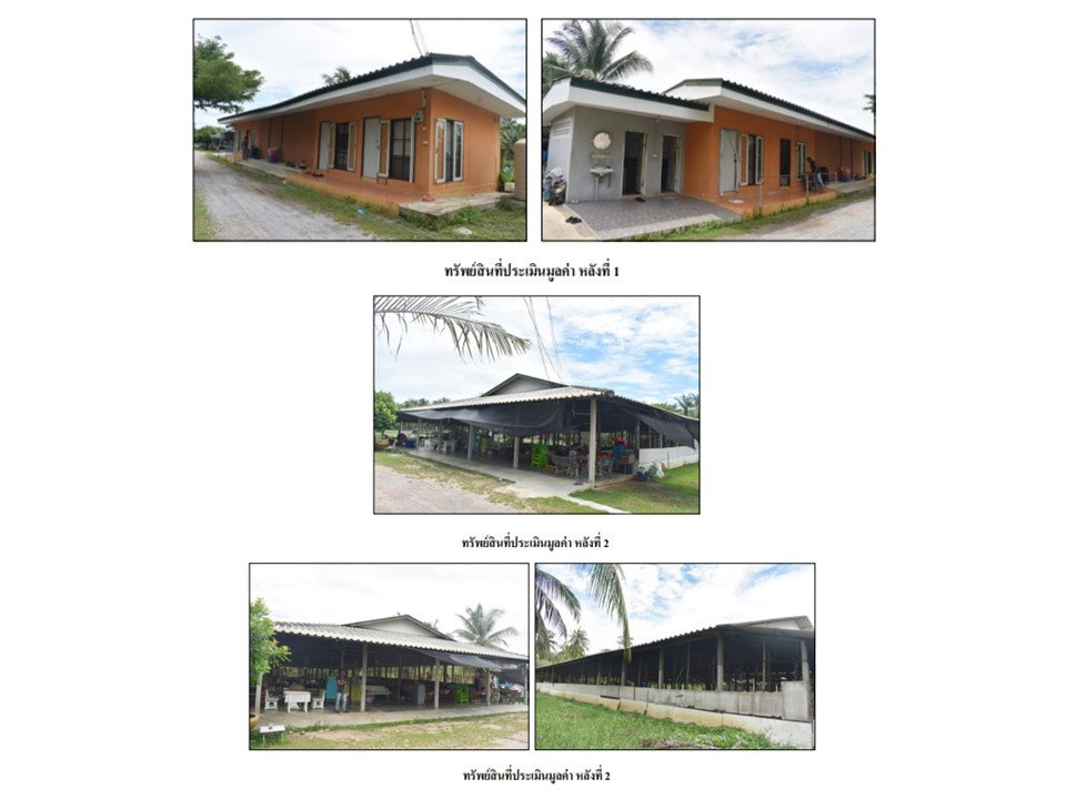 picture LAND 5533.3 Sq.w. Ban Laem Petchburi for 6.5M - 6/9
