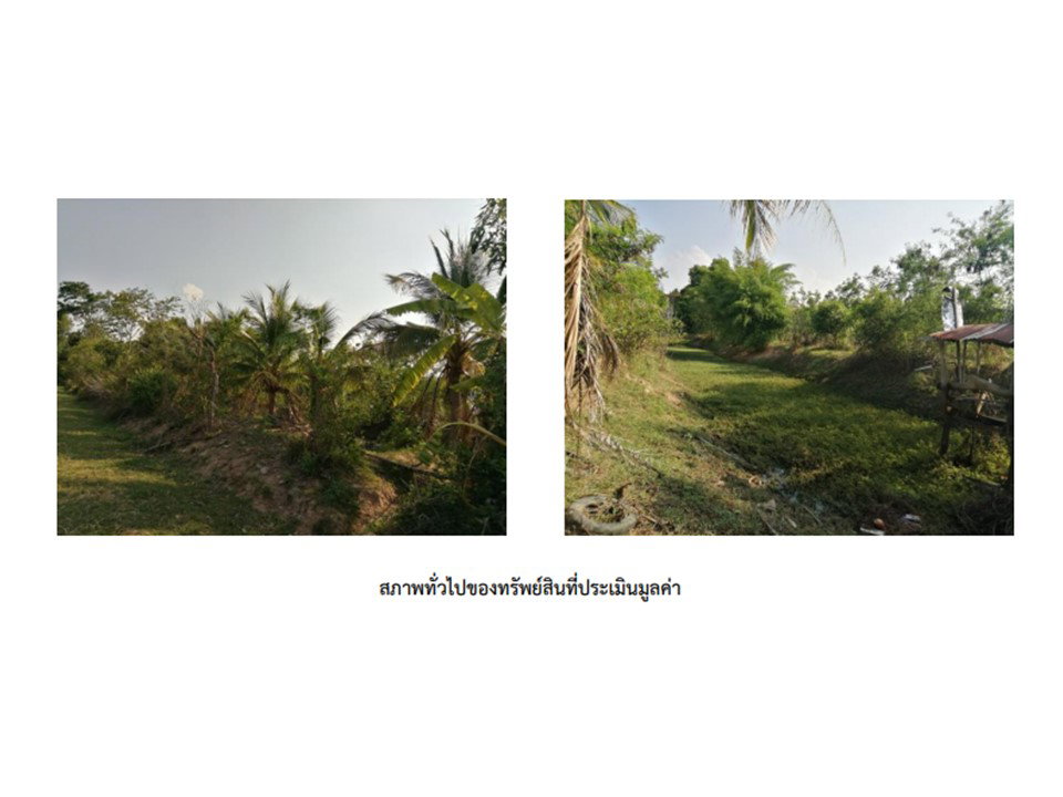 รูป ที่ดินพร้อมสิ่งปลูกสร้าง 800 ตร.วา ท่าตูม สุรินทร์ 690,000 - รูปที่ 9/9