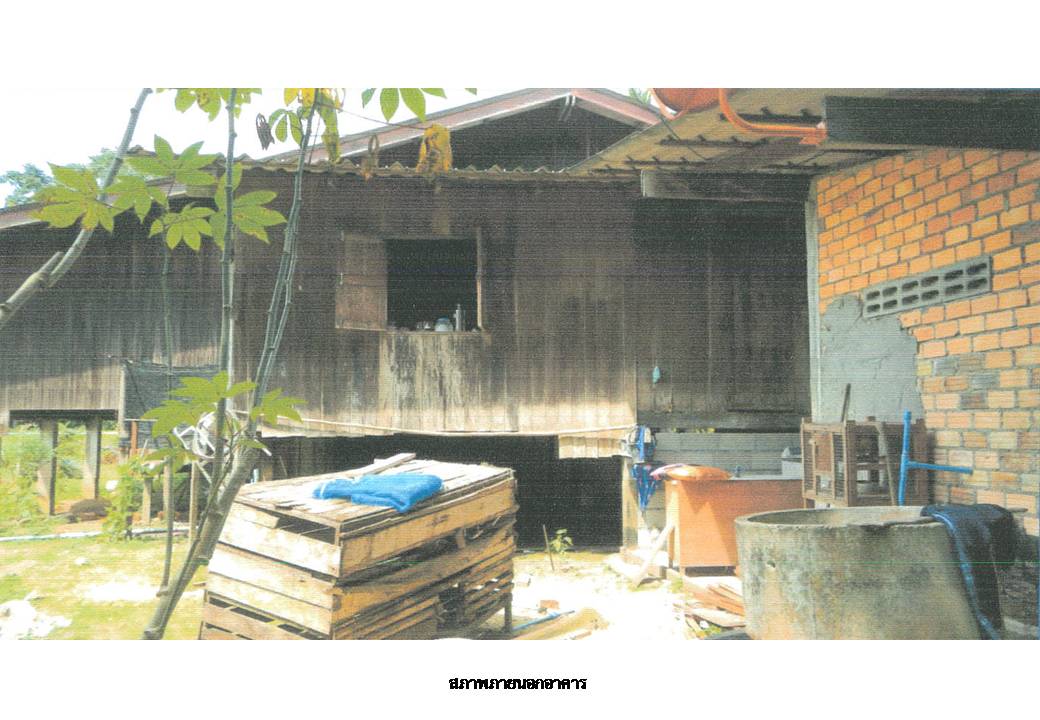 รูป ที่ดินพร้อมสิ่งปลูกสร้าง 391.2 ตร.วา เจาะไอร้อง นราธิวาส 840,000 - รูปที่ 7/8