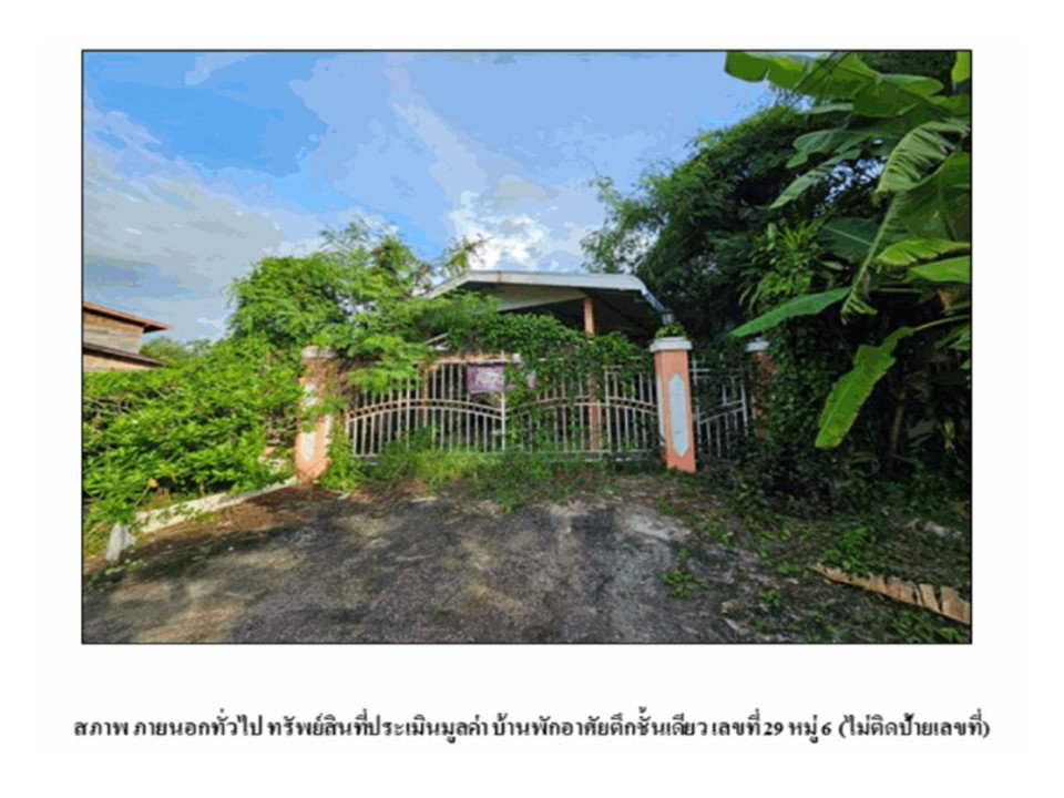picture LAND 79 Sq.w. Phen Udon Thani for 827,000 - 7/9