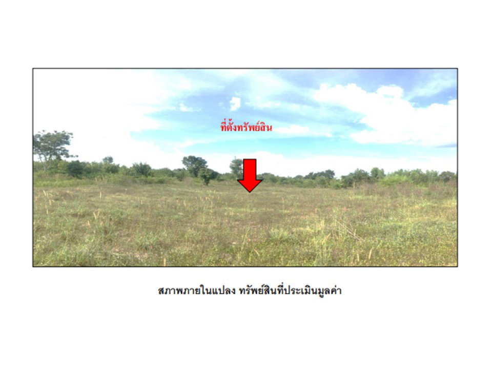 picture LAND 1980.1 Sq.w. Phanom Dong Rak Surin for 763,000 - 7/9