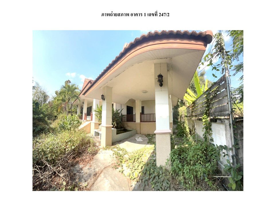 รูป ที่ดินพร้อมสิ่งปลูกสร้าง 130.5 ตร.วา เมืองลำพูน ลำพูน 1.5M - รูปที่ 4/6