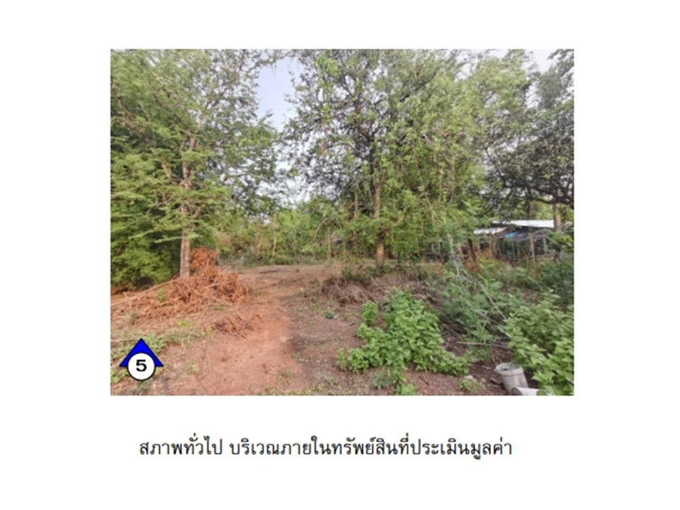 รูป ที่ดินพร้อมสิ่งปลูกสร้าง 188 ตร.วา บ้านม่วง สกลนคร 462,000 - รูปที่ 6/10