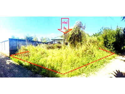 Houses for sale Pak Thong Chai Nakhon Ratchasima : HOME 199 Sq.w. Pak Thong Chai Nakhon Ratchasima for 496,000