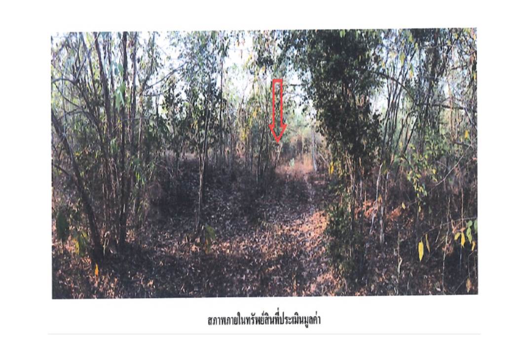 picture LAND 3130 Sq.w. Ko Kha Lamphang for 1.1M - 6/8