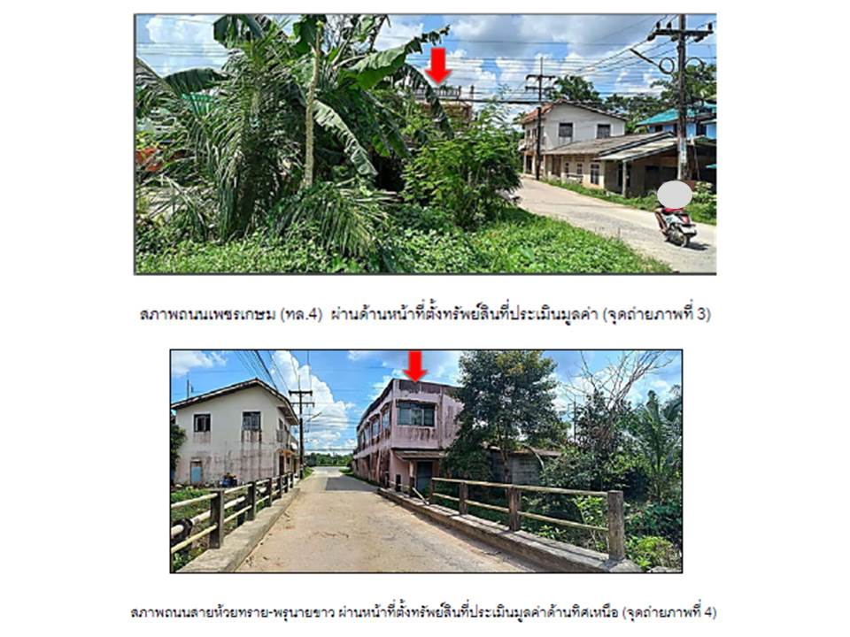 picture LAND 46 Sq.w. Pa Bon Phatthalung for 1.5M - 3/3