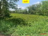 listing thumbnail image 38