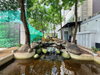 listing thumbnail image 33