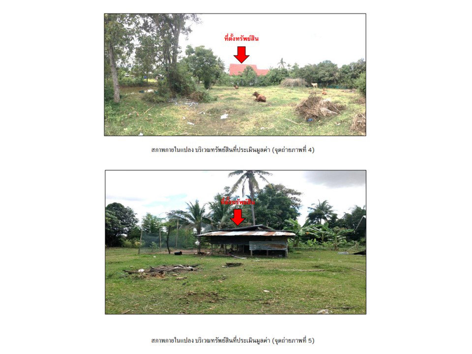 รูป ที่ดินพร้อมสิ่งปลูกสร้าง 2315 ตร.วา ปราสาท สุรินทร์ 2.8M - รูปที่ 4/10