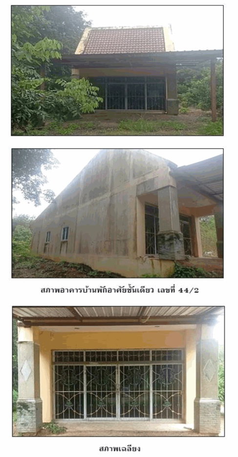 รูป ที่ดินพร้อมสิ่งปลูกสร้าง 24 ตร.วา ทุ่งใหญ่ นครศรีธรรมราช 520,000 - รูปที่ 3/3