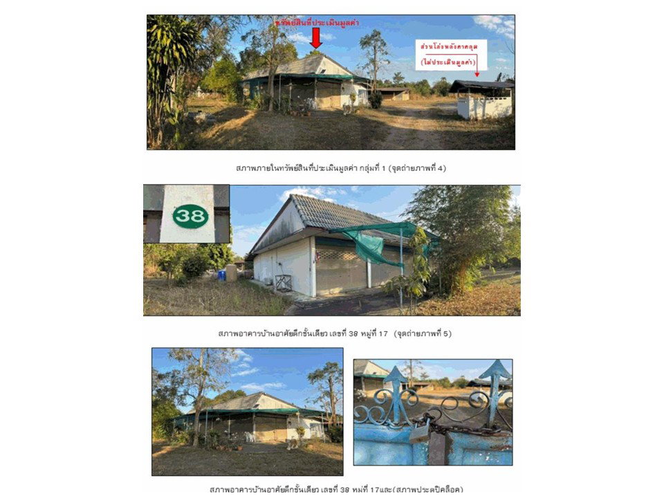 picture LAND 1185 Sq.w. Yang Talat Kalasin for 4.5M - 3/5