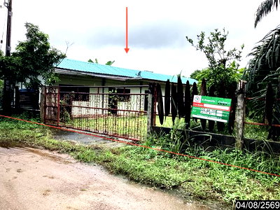 ขายบ้านเดี่ยว : บ้านเดี่ยว 381 ตร.วา ศรีวิไล บึงกาฬ 2.4M