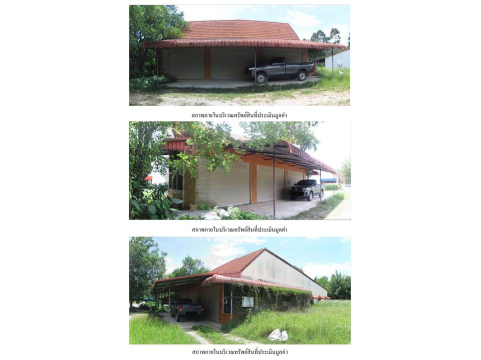 picture LAND 445.7 Sq.w. Huai Yot Trang for 2.5M - 4/6