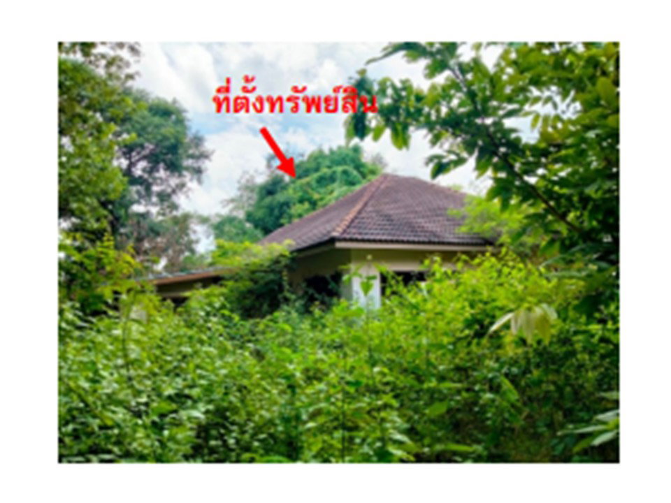 รูป ที่ดินพร้อมสิ่งปลูกสร้าง 826 ตร.วา เดชอุดม อุบลราชธานี 2.6M - รูปที่ 1/4